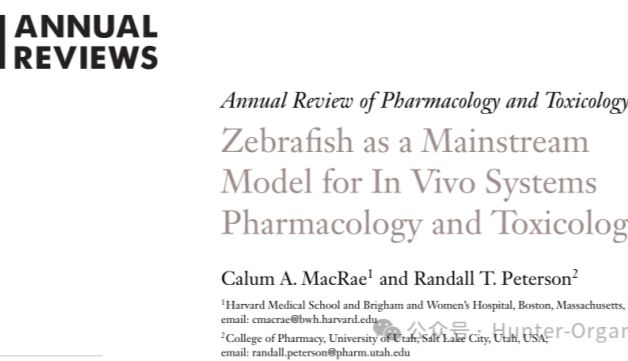 Annu. Rev. Pharmacool.：斑马鱼可作为药理学与毒理学的主流模型