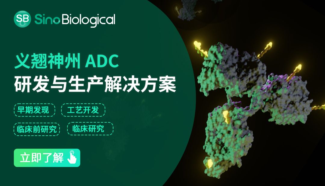 自身免疫病治疗新纪元：ADC技术如何重塑千亿市场格局