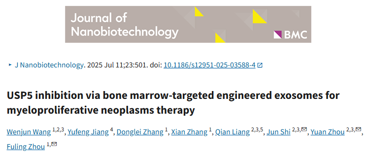 还在为MPN靶向难发愁？看双修饰外泌体如何带着抑制剂在骨髓 “开绿灯”，这思路能直接套实验！