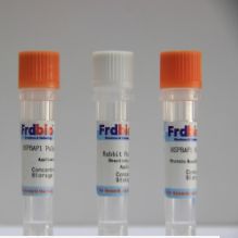 HRP-Mouse anti--Perch(鲈鱼) IgM monoclonal antibody