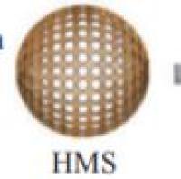 负载多柔比星和硫化铜的中空介孔二氧化硅纳米颗粒被壳聚糖修饰 DOX/CuS@HMSNs-CS