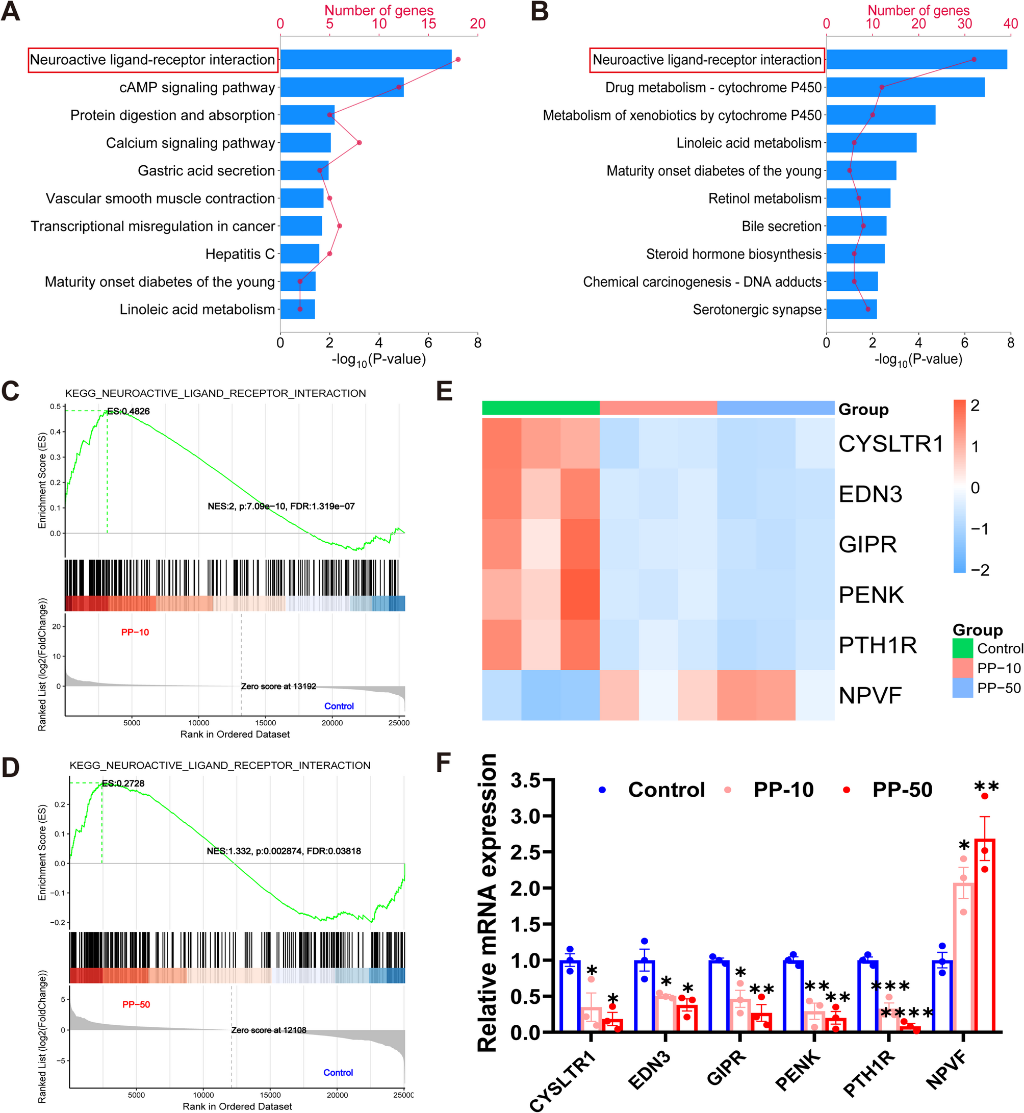 塑料污染会影响后代发育吗?