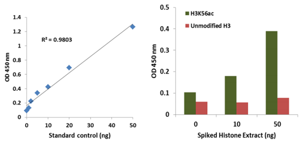 EpiQuik循环乙酰组蛋白H3K56 ELISA试剂盒（比色法）超值优惠等你来！