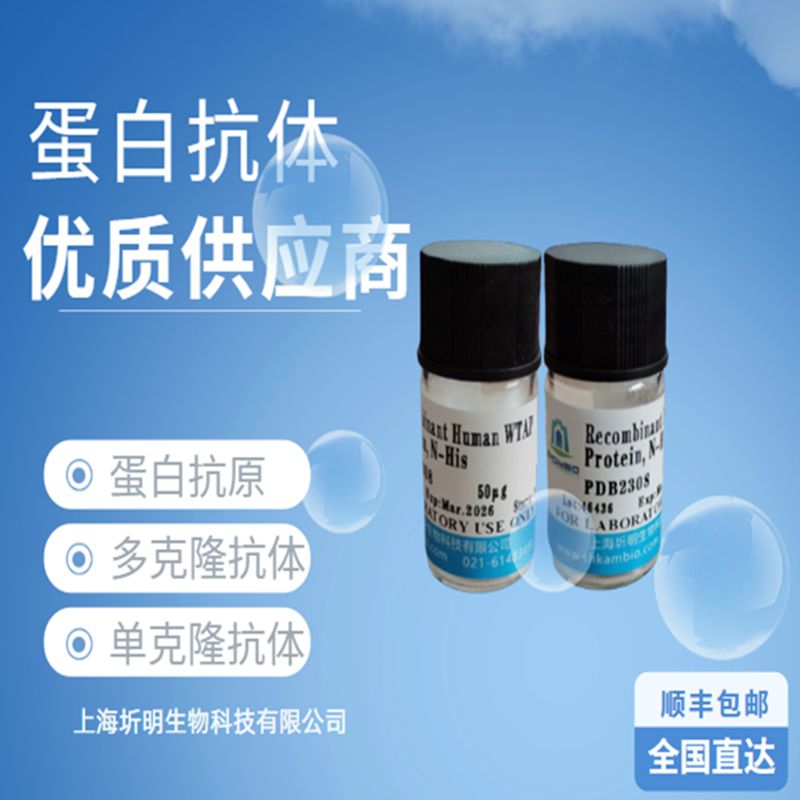 禽传染性法氏囊病毒单克隆抗体IBDV9, IBDV105