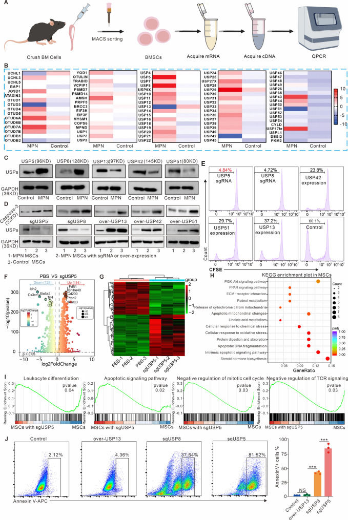外泌体载药 外泌体载药