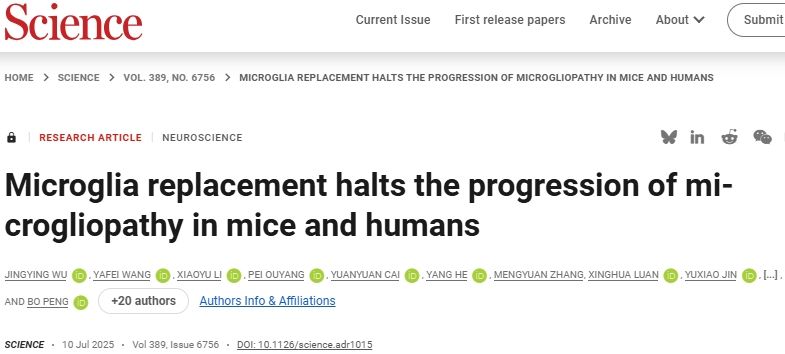 Science：小胶质细胞替换策略临床治疗小鼠和人类ALSP