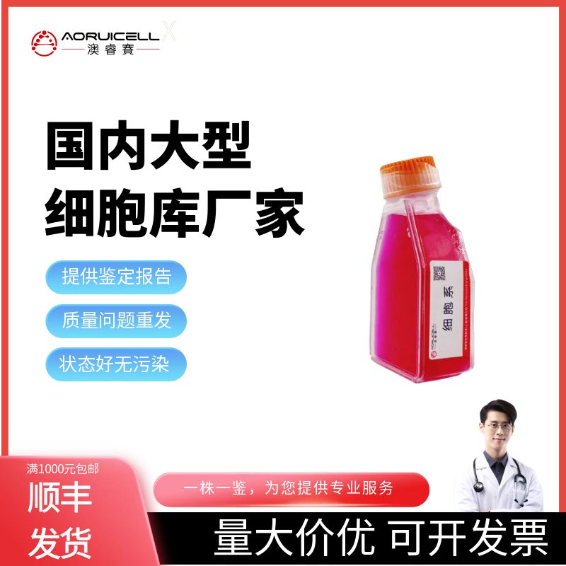 TK10(人肾癌细胞株)