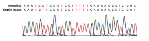 Epigentek-BisulFlash DNA修饰试剂盒，爆款产品限时特惠！