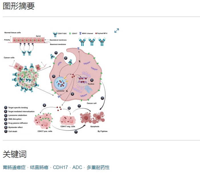 瀚江小动物实验中心PDX模型助力研究成果在 Cell Reports Medicine 正式发表!