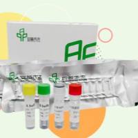 DNA 恒温快速扩增试剂盒（荧光型） DNA Isothermal Rapid Amplification Kit（Fluorescent Type) Guide Manual