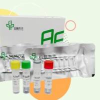 DNA 恒温快速扩增试剂盒(胶体金试纸条型)