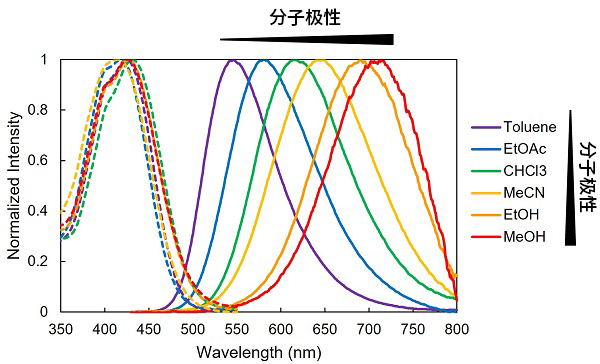 可实现局部组织结构可视化的荧光染料HistoBright