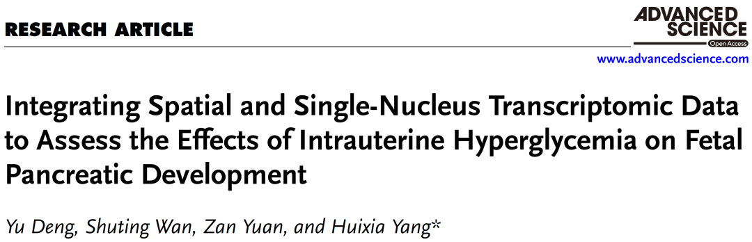 项目文章(IF=14.1) | 北大第一医院杨慧霞教授团队利用多组学揭示母体高血糖环境下胎儿胰腺发育的分子机制