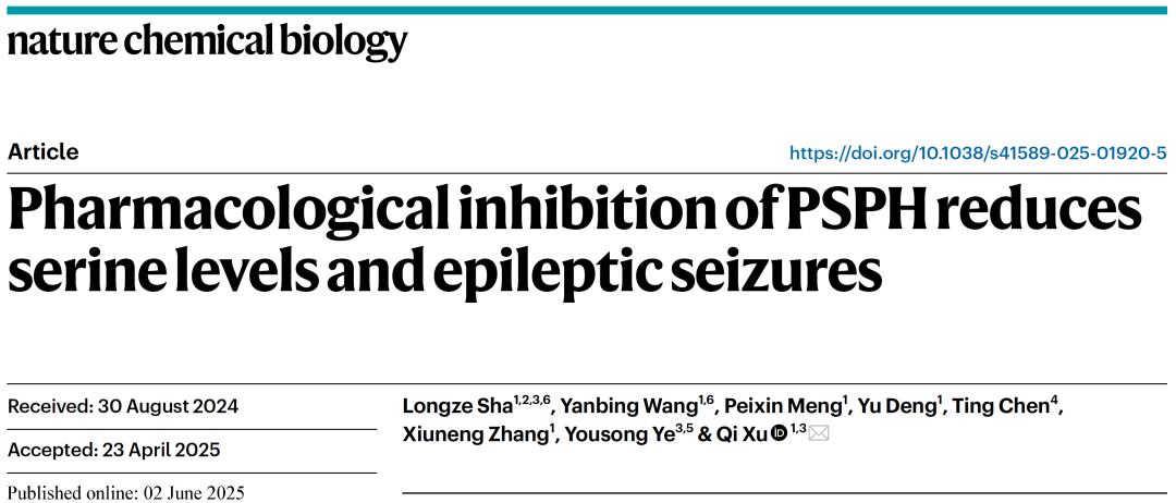 项目文章 | IF=13.7！中国医学科学院许琪研究员团队发现难治性癫痫患者治疗新机会