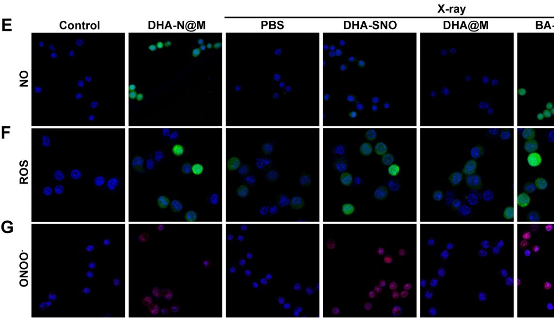 谷胱甘肽（GSH）检测助力肺癌治疗研究