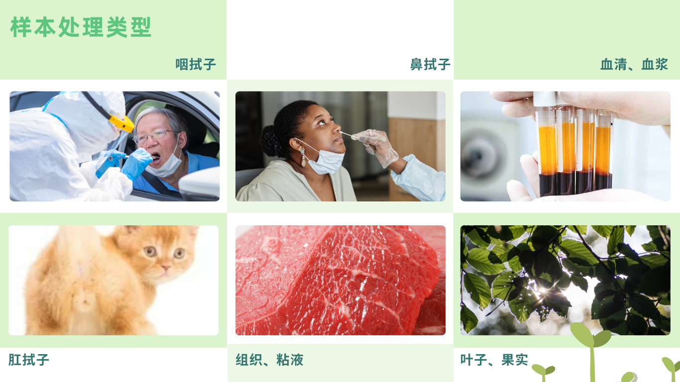 快速核酸释放剂（DNA）-Ⅱ型的样本处理类型