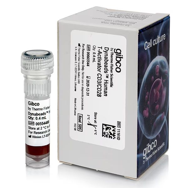 用于 T 细胞扩增和活化的 Dynabeads™ 人 T 活化剂 CD3/CD28