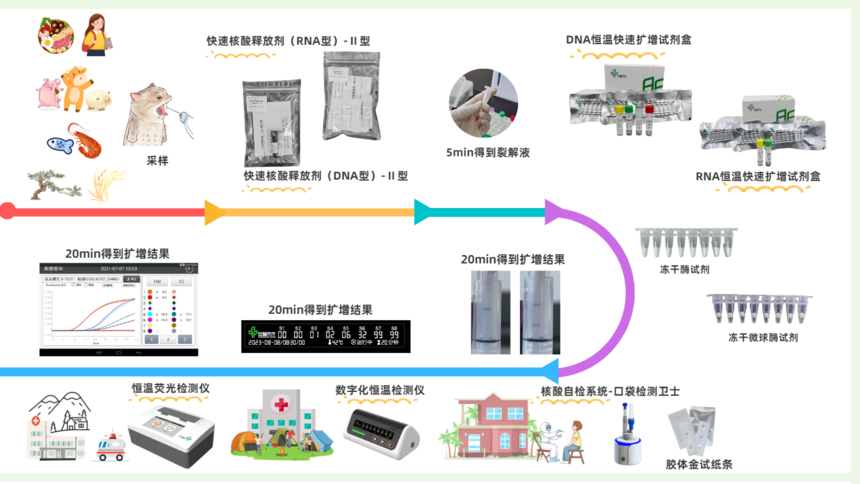 DNA Isothermal Rapid Amplification Kit（Basic) Guide Manual10.png