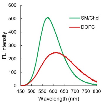 可实现局部组织结构可视化的荧光染料HistoBright