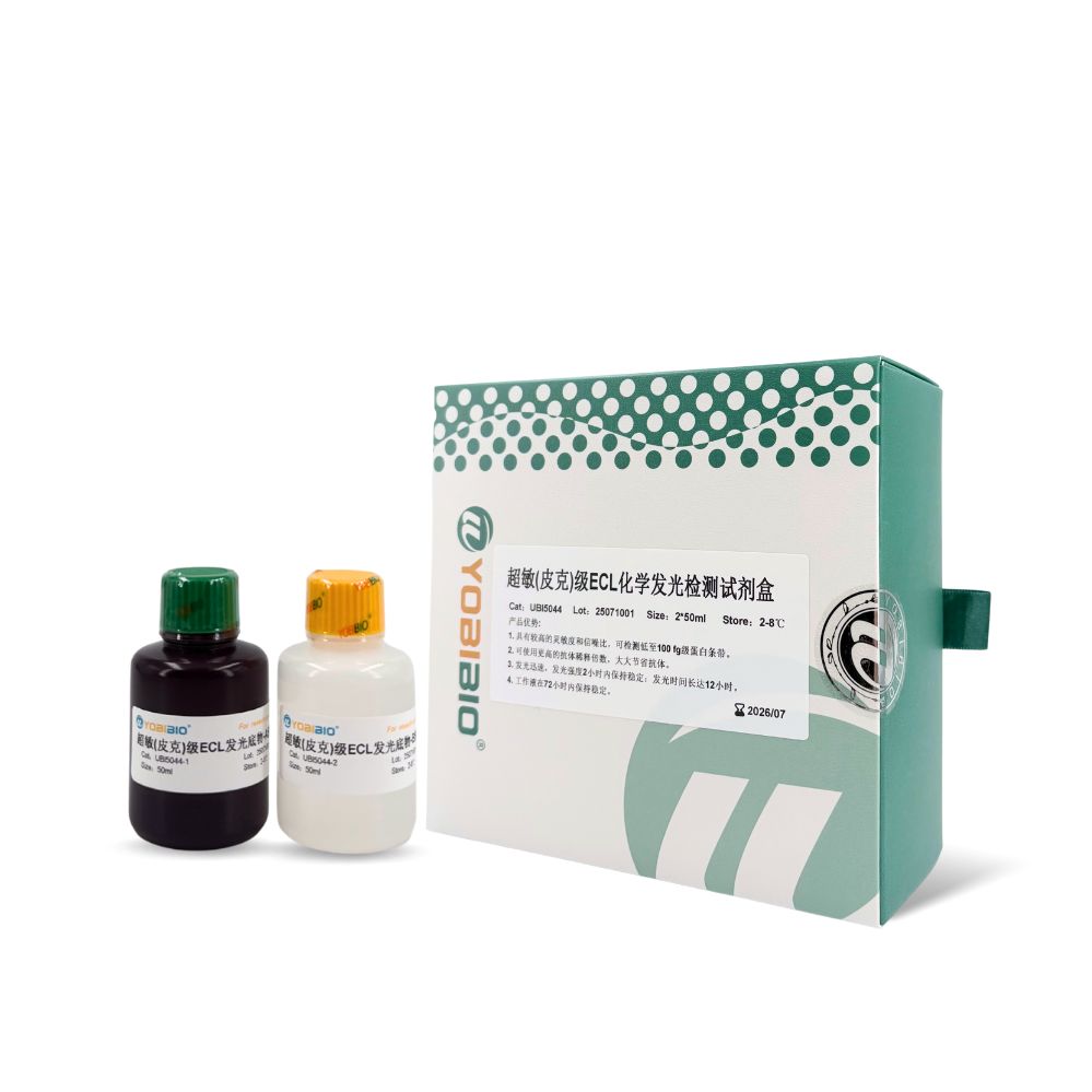 超敏(皮克级)ECL化学发光检测试剂盒