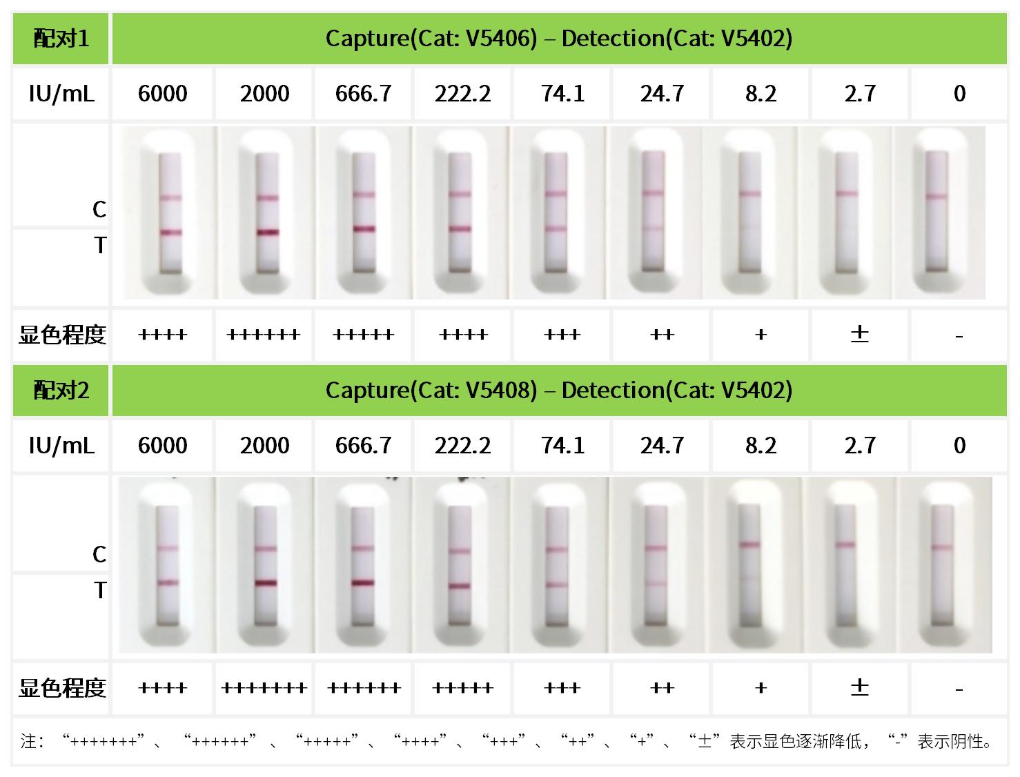 重点推荐 | 高灵敏度人IgE配对抗体!