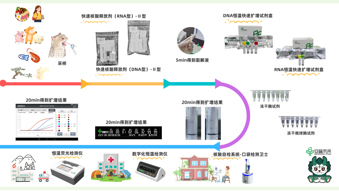 安普未来生物的产品流程线