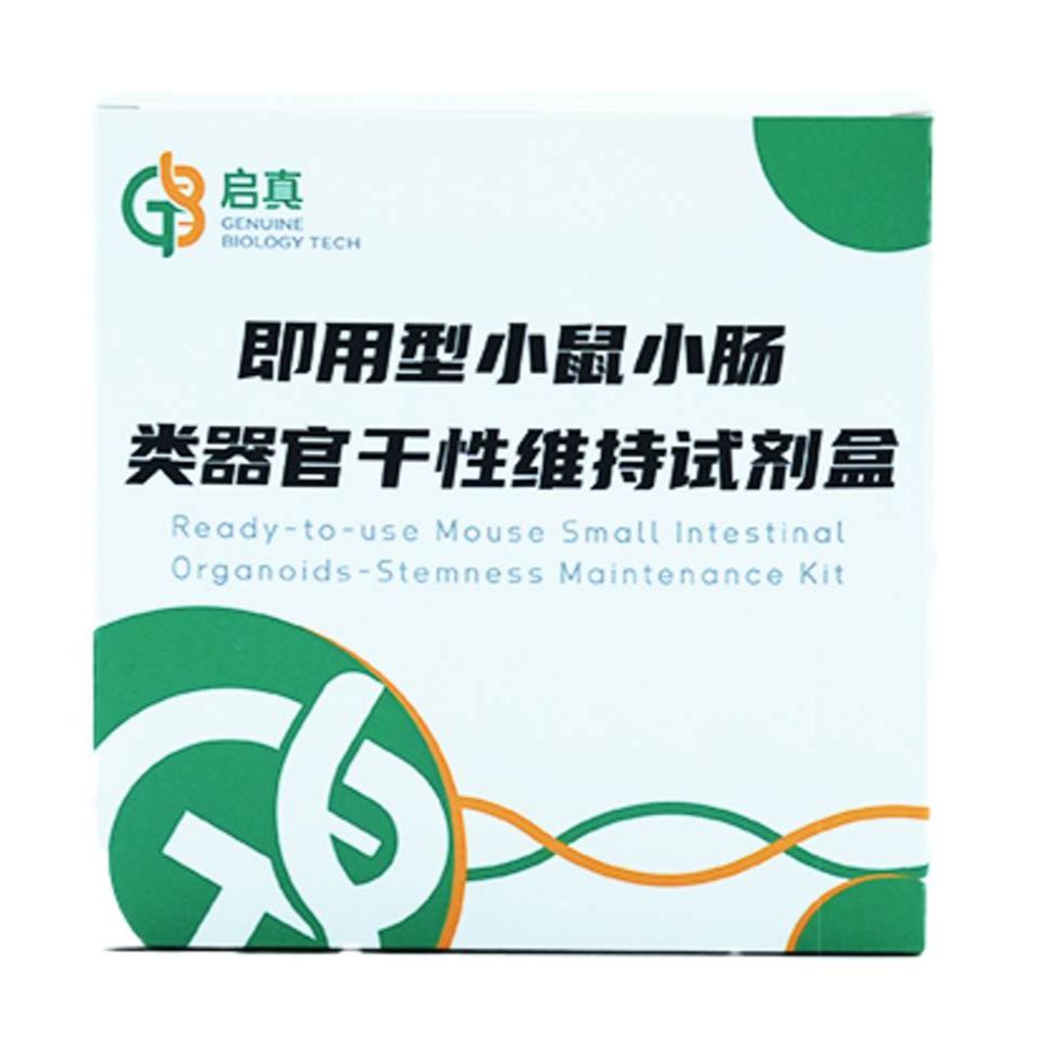 即用型小鼠小肠类器官干性维持试剂盒