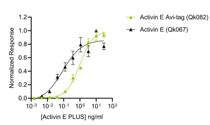 Avi标签活性素E PLUS与无标签活性素E PLUS的生物活性比较