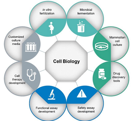 展会预告｜2025BPD第八届生物药工艺发展大会