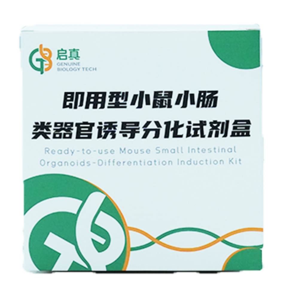 即用型小鼠小肠类器官诱导分化试剂盒