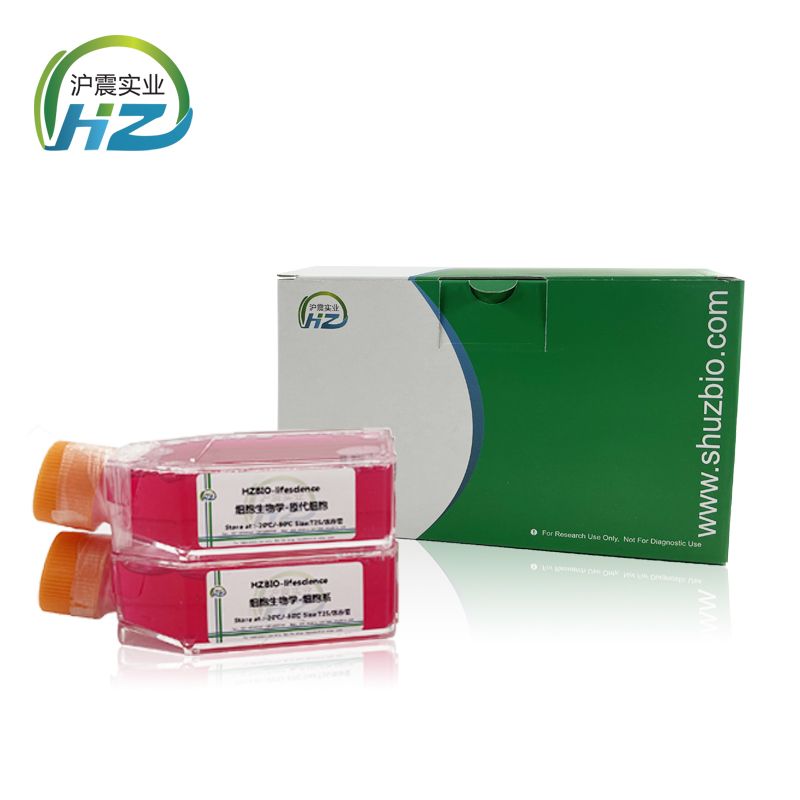 TK10(人肾癌细胞)