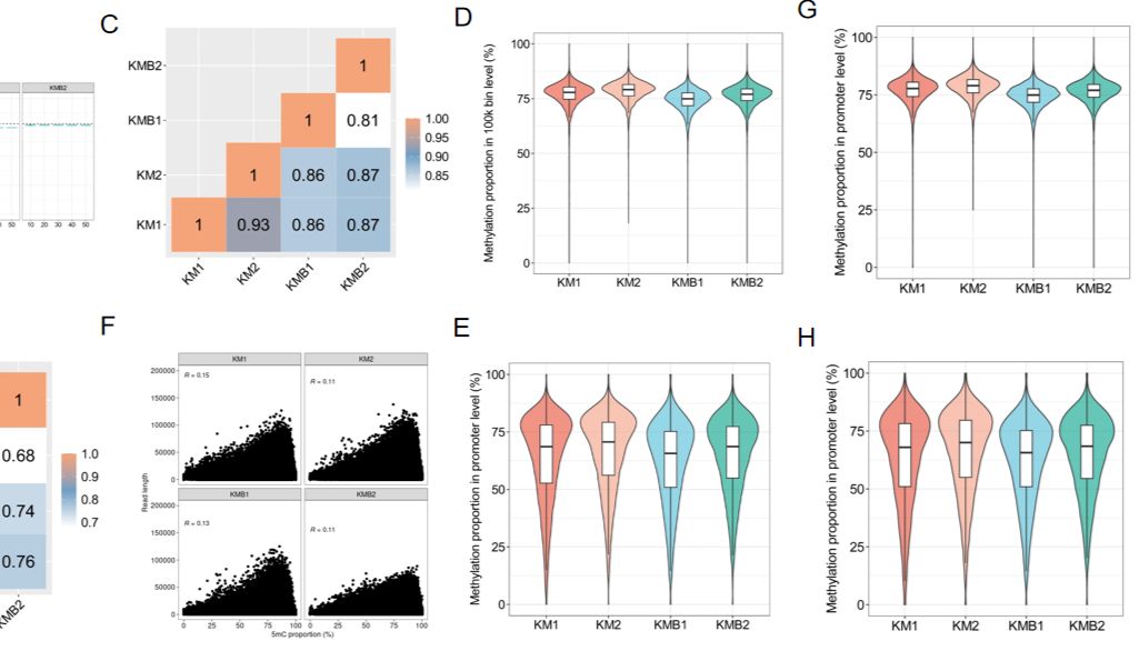 不止于长读长！Nanopore直测5mC，零亚硫酸处理、零PCR偏差，92.4% CpG覆盖碾压传统WGBS！
