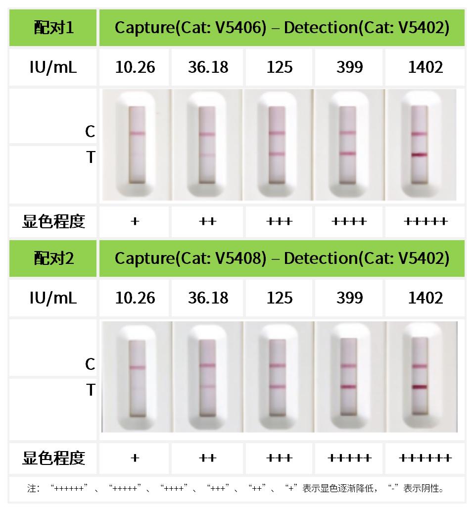 重点推荐 | 高灵敏度人IgE配对抗体!