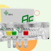 RNA 恒温快速扩增试剂盒(荧光型)-II