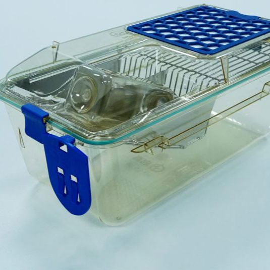 小鼠笼盒、大鼠笼盒