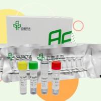 RNA 恒温快速扩增试剂盒（胶体金试纸条型）-II