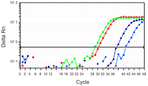 Epigentek-Methylamp MS qPCR快速试剂盒，实验必备试剂打包特惠！
