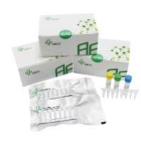 转基因植物NOS终止子恒温检测荧光型试剂盒