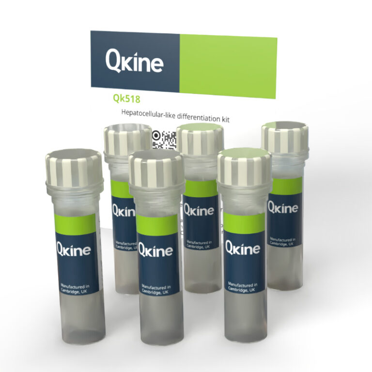 iPSC-肝细胞分化试剂盒细胞因子Qk518