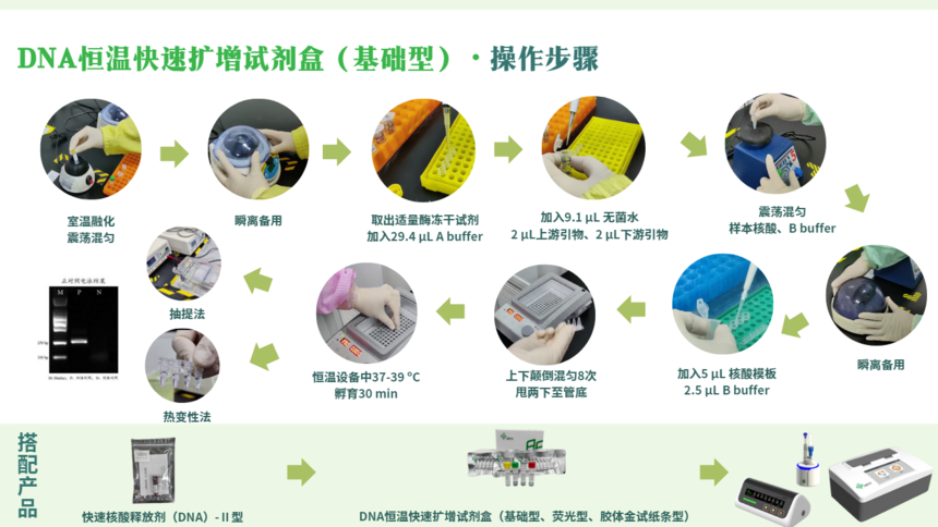 DNA Isothermal Rapid Amplification Kit（Basic) Guide Manual.png