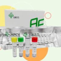 RNA 恒温快速扩增试剂盒(基础型)-II