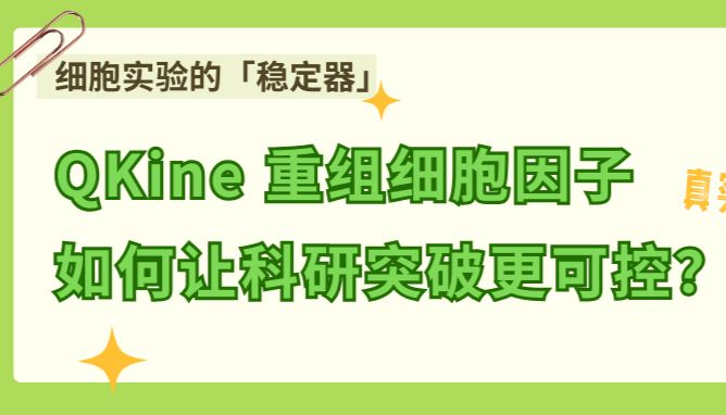 细胞实验的「稳定器」：Qkine 重组细胞因子如何让科研突破更可控？ 附用户高频问题QA真实反馈