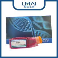 TK10(人肾癌细胞)