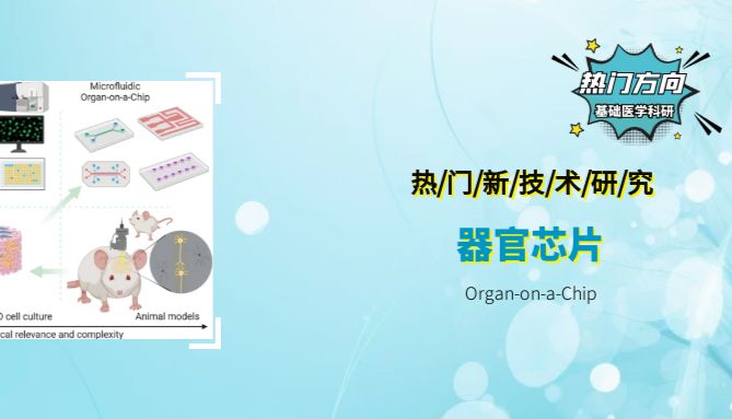 早知道，早领跑！器官芯片OoC，复刻体外人体器官，或可取代动物实验！