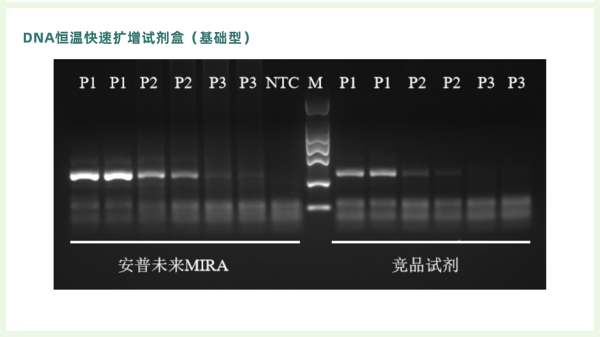 DNA Isothermal Rapid Amplification Kit（Basic) Guide Manual.png