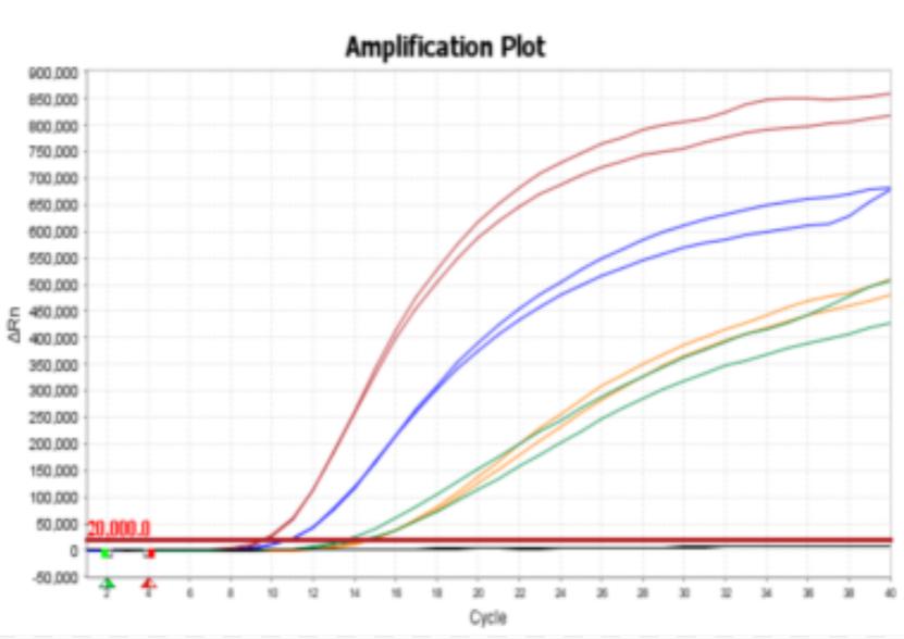 金黄色葡萄球菌释放剂性能对比图