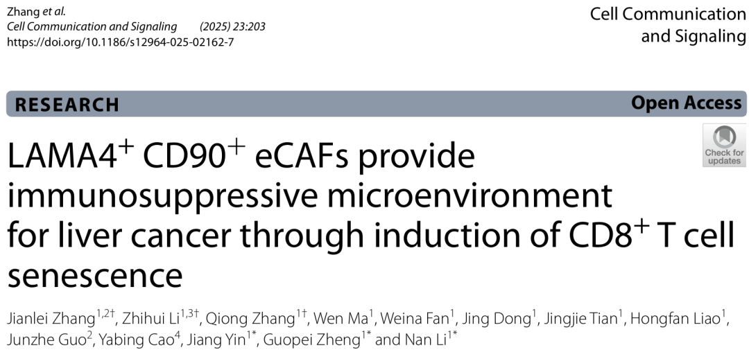 突破性发现！LAMA4+ CD90+ eCAFs通过诱导T细胞衰老为肝癌创造免疫抑制微环境
