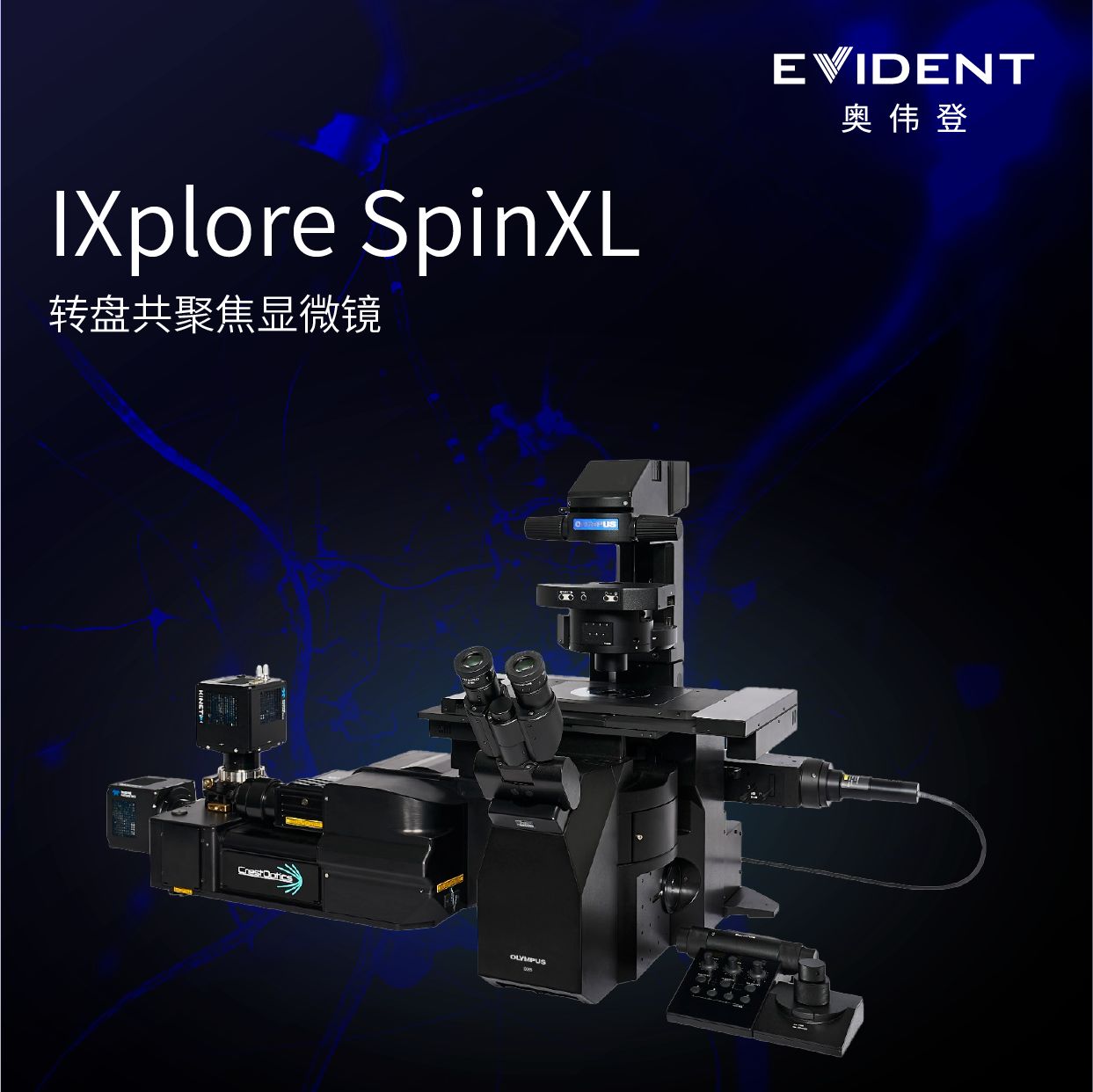 IXplore SpinXL转盘共聚焦显微镜