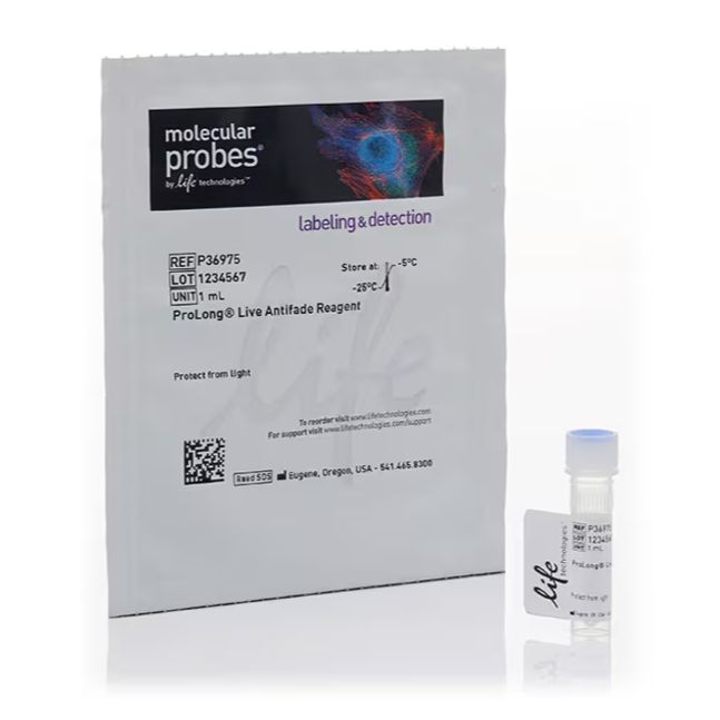ProLong™ Live 活细胞成像抗淬灭试剂
