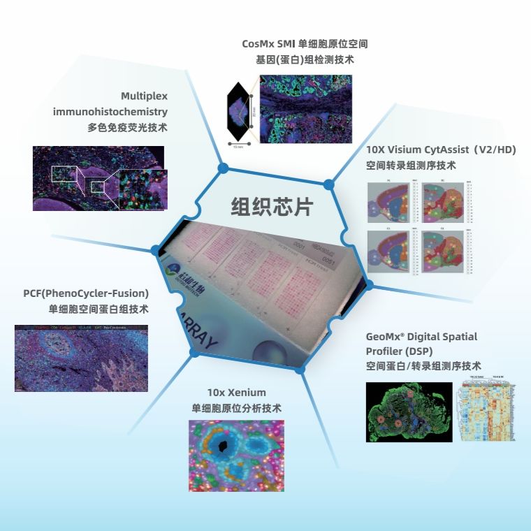 【优惠活动】mIHC重磅升级!10标同测,效率翻倍,优惠来袭!